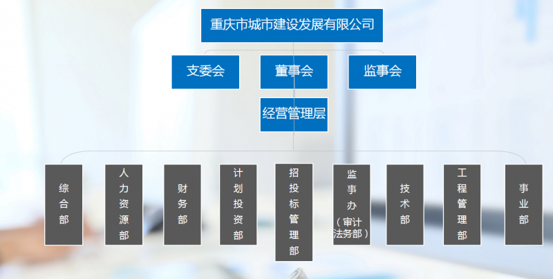 城發(fā)公司組織機(jī)構(gòu)信息.png